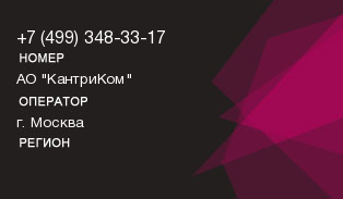 4993483317